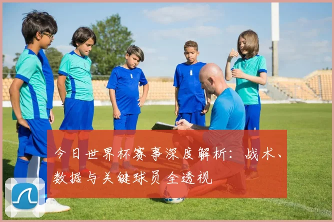 今日世界杯赛事深度解析:战术、数据与关键球员全透视