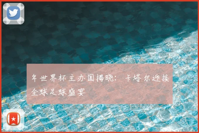 年世界杯主办国揭晓：卡塔尔迎接全球足球盛宴