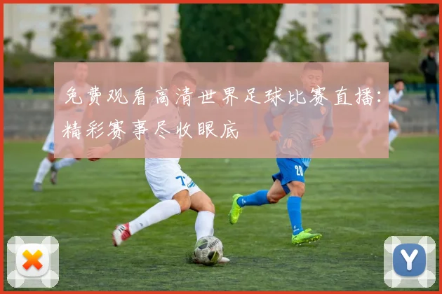 免费观看高清世界足球比赛直播：精彩赛事尽收眼底
